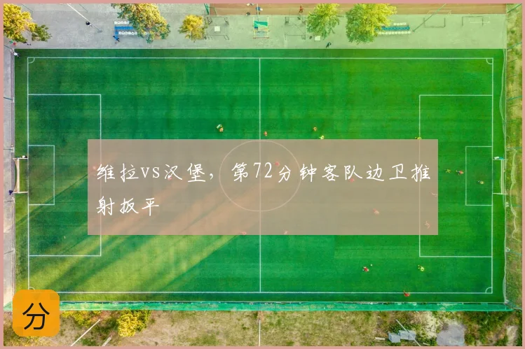维拉vs汉堡,第72分钟客队边卫推射扳平